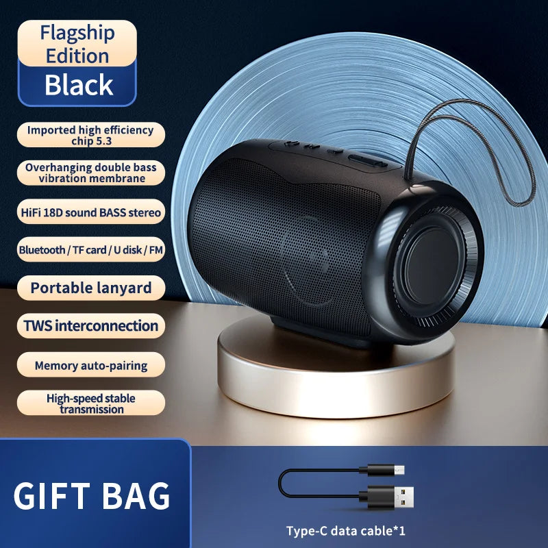 TSN-1 Portable Speaker Wireless Bluetooth Speakers with 5.3 Stereo FM/SD/USB Disk/Aux Modes Waterproof for Outdoor Hifi Sound
