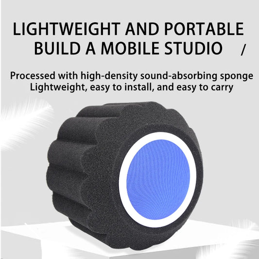 Sound-Absorb Sponge Mic Cover, Microphone Windproof Cover,Anti Spray Mic Windproof Cover Can Reduce Room Echo And Reverberatio